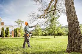 Best Seasonal Cleanup (Spring/Fall)  in Loma Ri, CA