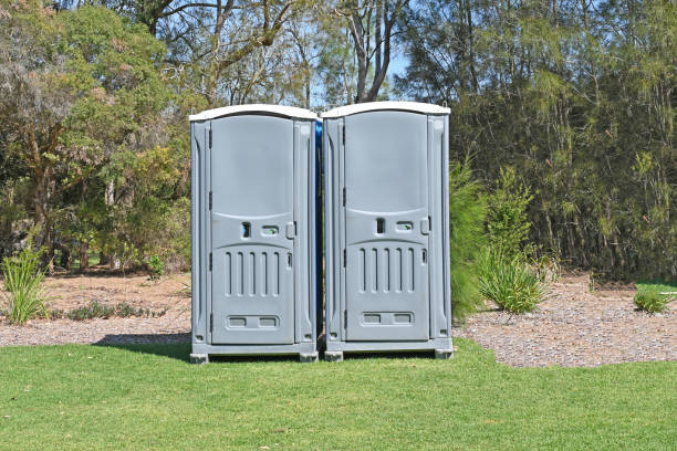 Best Lawn Pest Prevention  in Loma Ri, CA